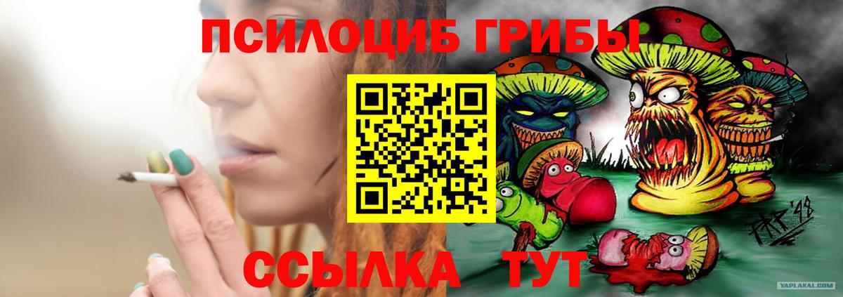 Домодедово  Псилоцибиновые грибы мицелий  Галлюциногенные грибы прущие грибы  Вход с VPN 